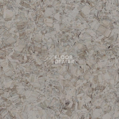 Линолеум Tarkett iq Megalit WARM GREY 0612 фото 1 | FLOORDEALER